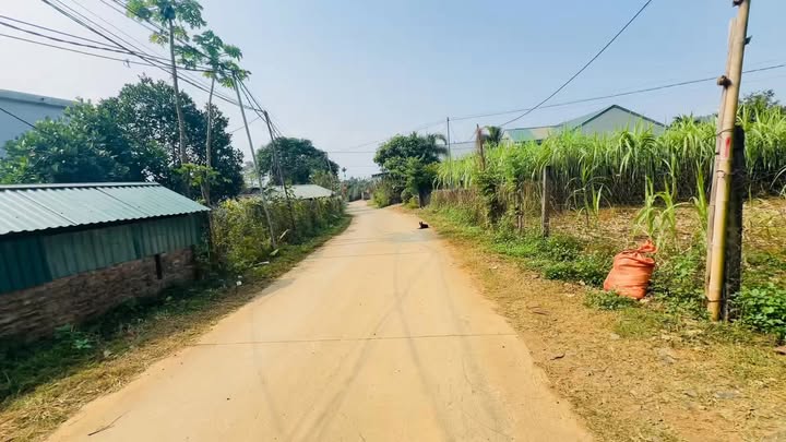 Đất nền Phú Thọ 354m² giá chỉ 500 triệu - Cơ hội đầu tư tuyệt vời!