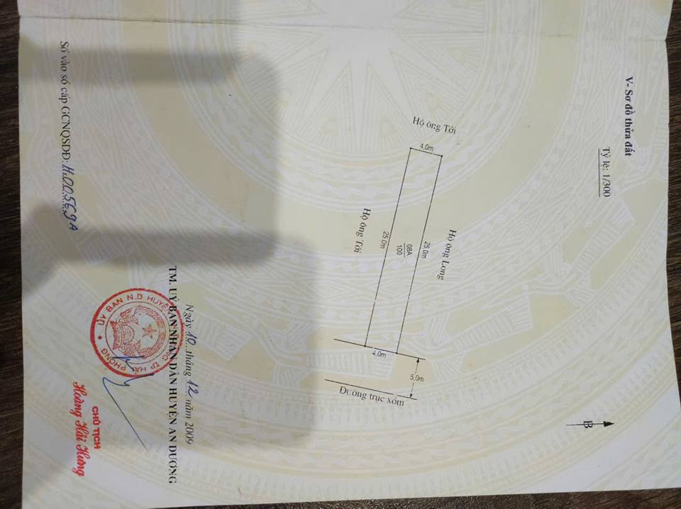 Đất Lê Lợi, An Dương 100m² giá 3.xx tỷ - Kinh doanh thuận lợi!