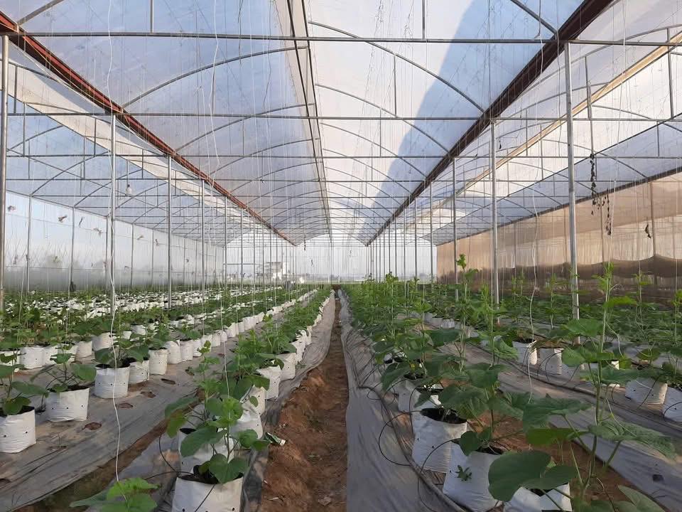 Đất ruộng 2598m² tại Thôn Bái Xuân, Thanh Hóa - Giá chỉ 600 triệu VND!