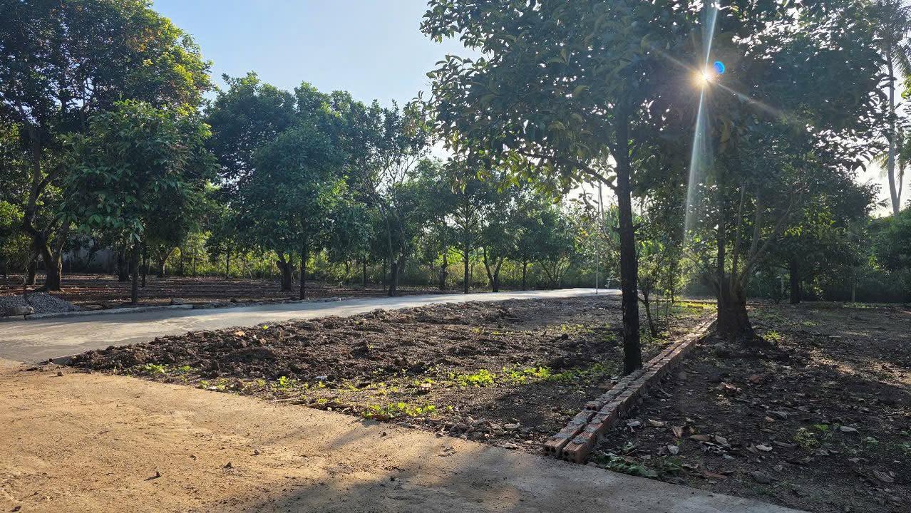 Đất thổ cư Bảo Vinh, Long Khánh 300m² giá chỉ 690 triệu - Cơ hội đầu tư hấp dẫn!