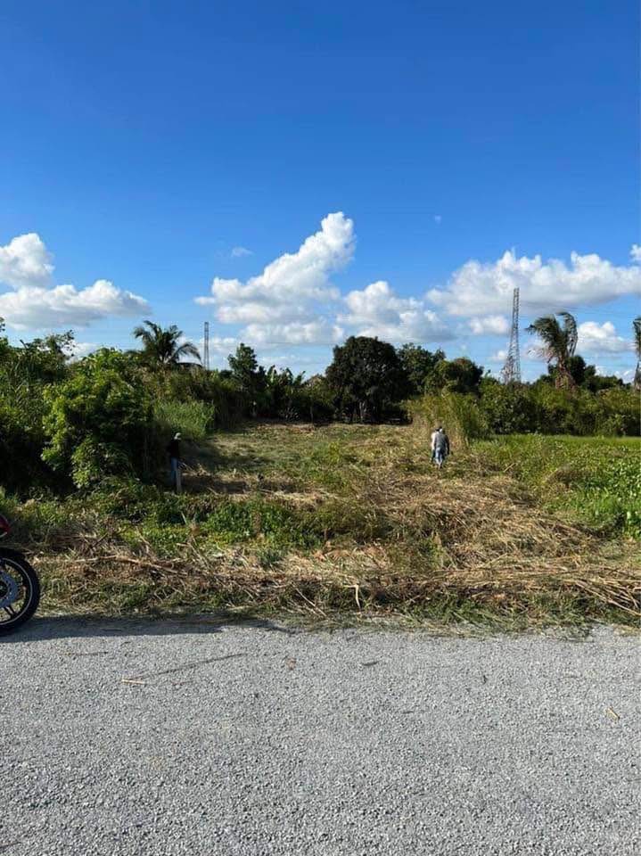 Đất nền mặt tiền đường Hậu Kênh Thạnh Đông, Q. Cái Răng, 500m² giá chỉ 1,95 tỷ - Sổ hồng chính chủ!