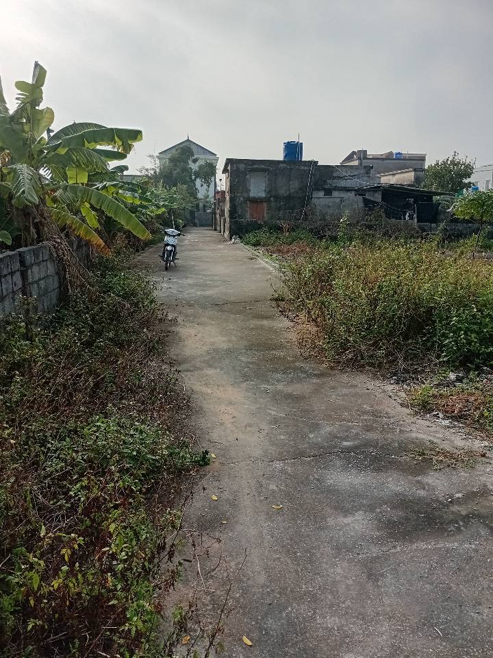 Đất nở hậu Thôn Hợp Thành, Tiền Hải, 158.8m² chỉ 500 triệu - Cơ hội đầu tư sinh lời!