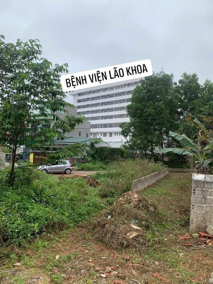 Đất nền Đại Yên Hạ Long 600m² giá từ 7,2 triệu - Sổ đỏ chính chủ, thương lượng tốt!