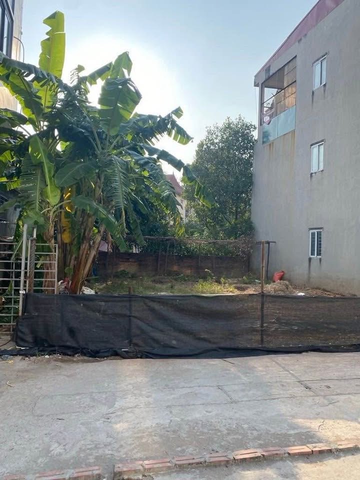 Đất nền Hoài Đức 136m² giá chỉ 5X tỷ - Đầu tư sinh lời ngay lập tức!