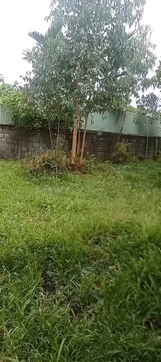 Đất CLN 3483m² tại xã An Cư, Tịnh Biên chỉ 190 triệu - Đầu tư lý tưởng!