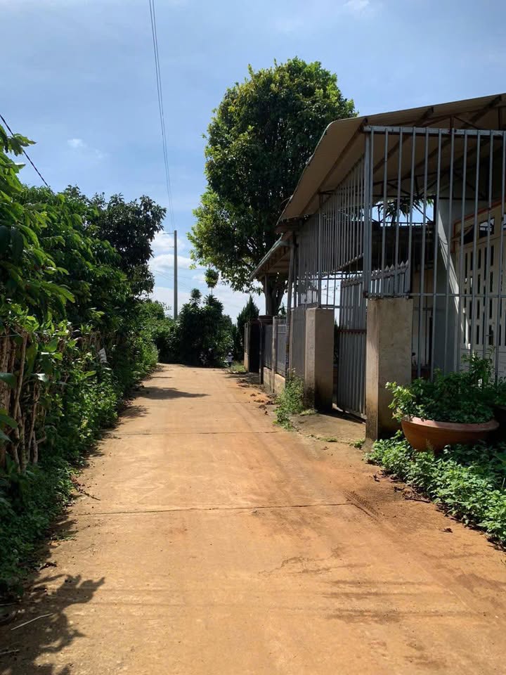 Đất thổ cư Lộc An, Long Thành 270m² giá 1.65 tỷ - Đường thông, gần Quốc lộ 20!