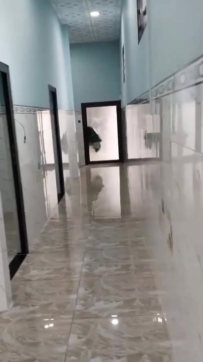 Nhà nguyên căn xã Phước Vĩnh An 2PN giá chỉ 2.5 triệu - Thuận tiện mọi bề!