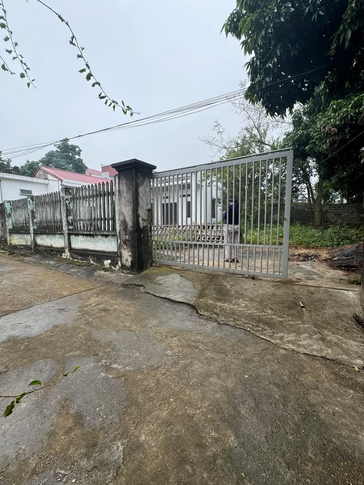 Đất sẵn nhà Cự Thắng Thanh Sơn 317m² giá 1.9 tỷ - Cơ hội đầu tư lý tưởng!