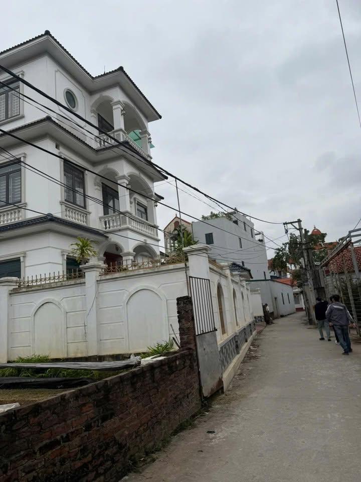 Đất Vĩnh Lộc, Thư Phú, Thường Tín 55m² - Lô góc 2 mặt tiền, ô tô vào tận đất!