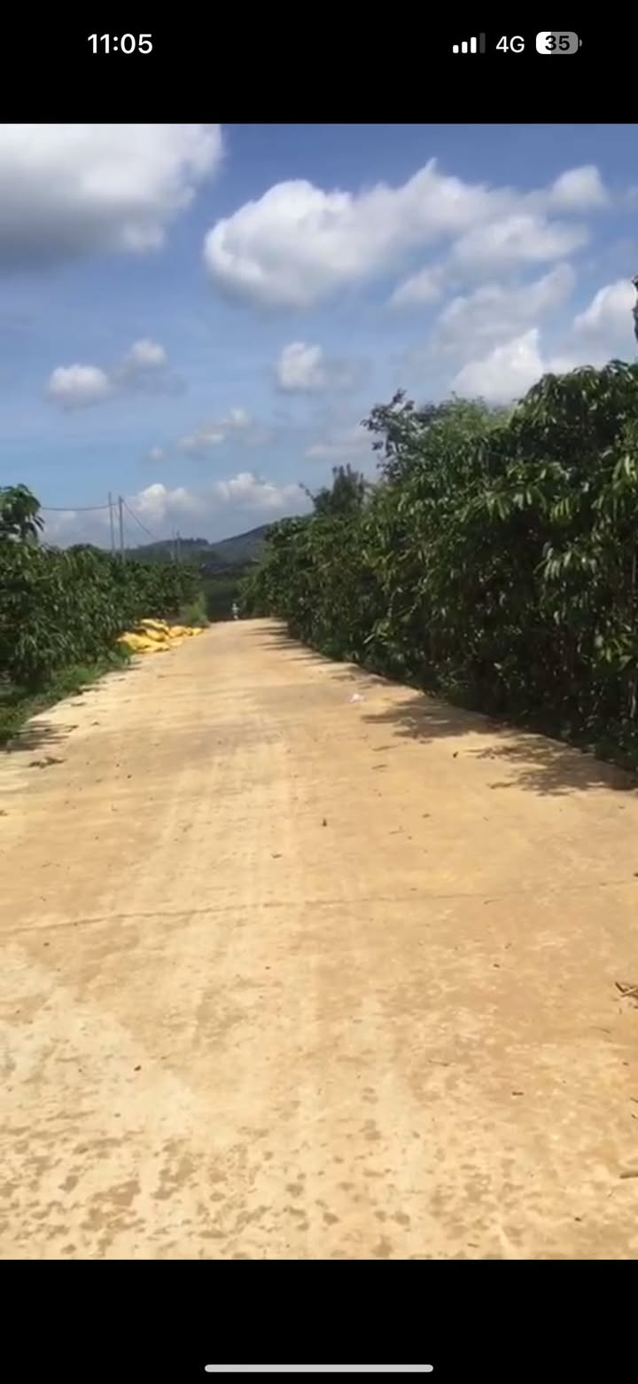 Đất thổ cư mặt tiền đường QL20 xã Liên Đầm 2550m² giá 5 tỷ - Cơ hội đầu tư sinh lời!