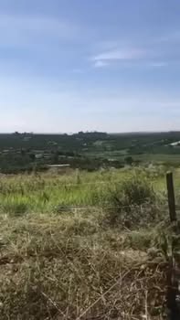 Đất nền Phúc Thọ Lâm Hà 730m² giá chỉ 700 triệu - Cơ hội đầu tư tuyệt vời!