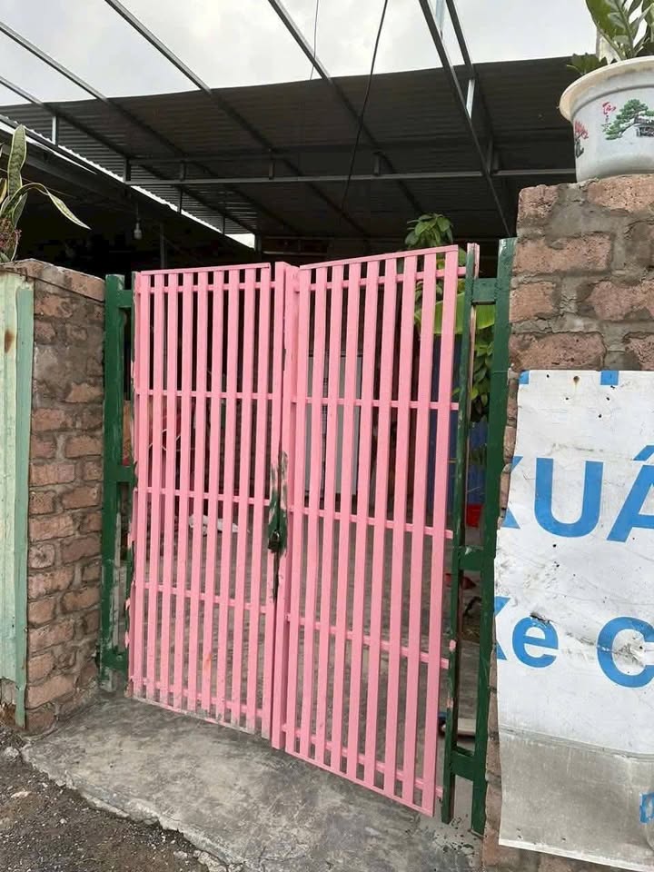 Đất mặt đường Ngũ Lão Thủy Nguyên 120m² giá 250 triệu - Cơ hội đầu tư tuyệt vời!