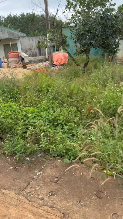 Nhà mặt đường Quốc lộ 19, xã Ia Dom, huyện Đức Cơ, 300m² chỉ 400 triệu - Đầu tư sinh lời ngay!