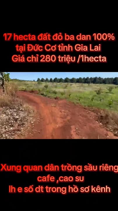 Đất nền xã Ea Súp, Đắk Lắk 245m² giá 250 triệu - Đầu tư sinh lời ngay!