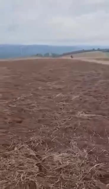 Đất nông nghiệp Krông Buk 40,000m² giá 4 tỷ - Đầu tư sinh lời ngay!