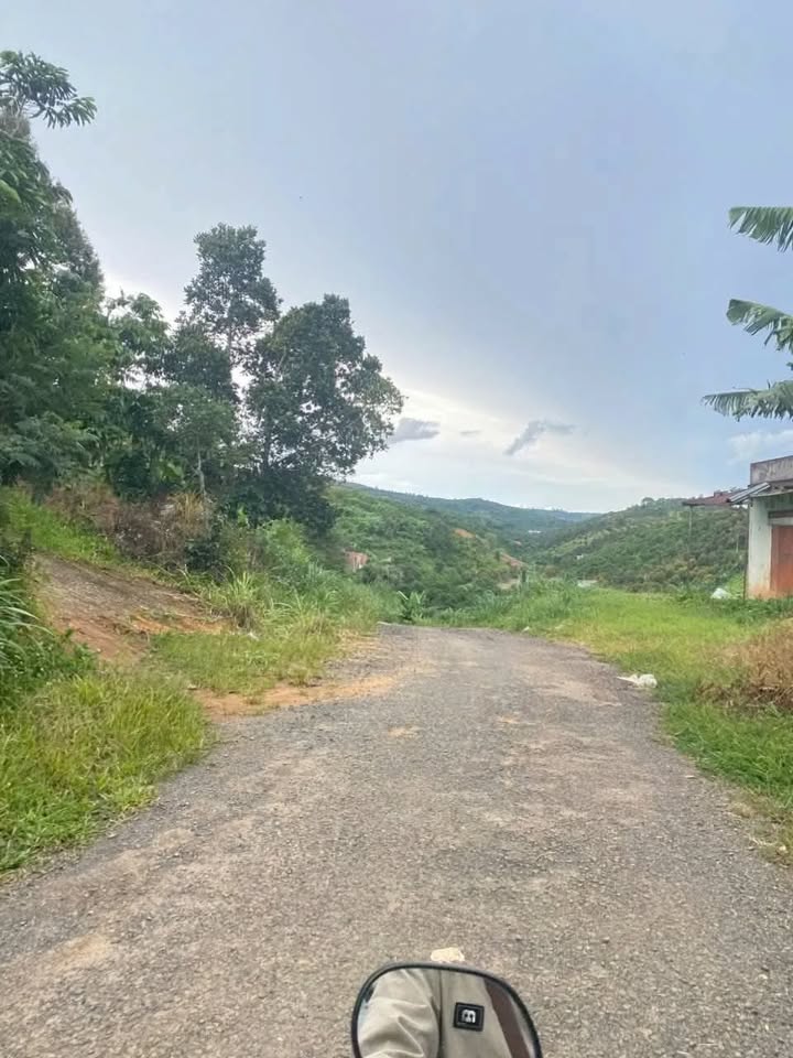 Đất thổ cư Lộc Đức, Bảo Lâm 6000m² giá 3.3 tỷ - Đầu tư sinh lời ngay!