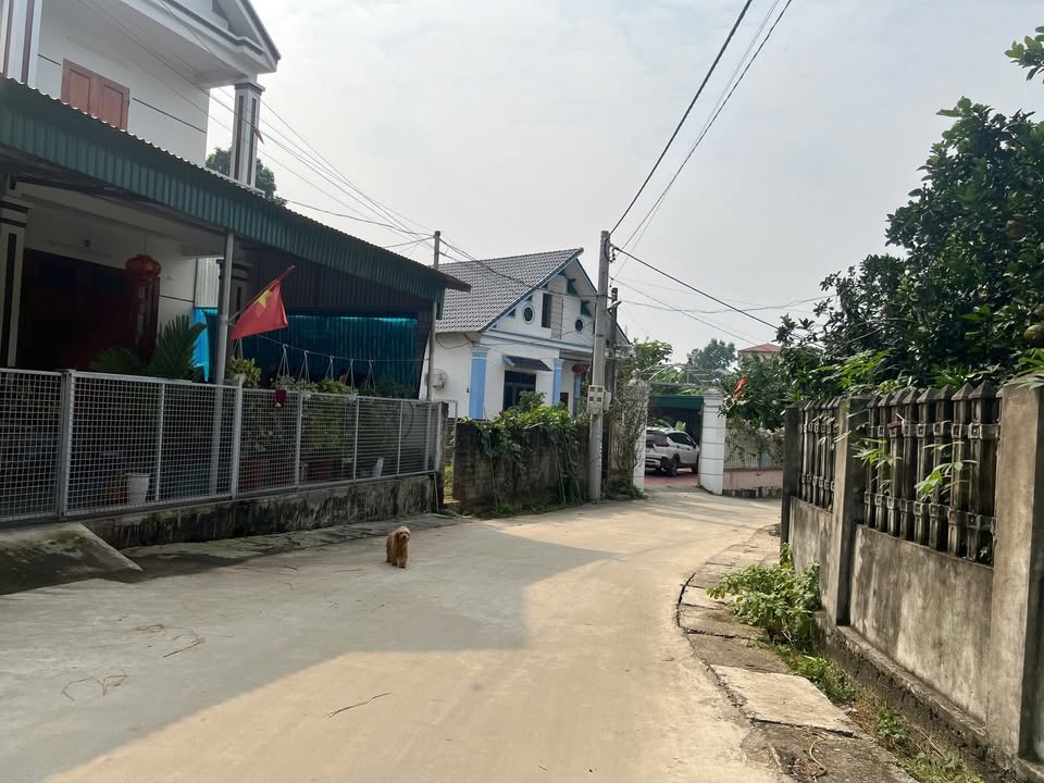 Đất thổ cư Phù Ninh 90m² giá 1.1 tỷ - Đường thông ô tô tránh nhau!