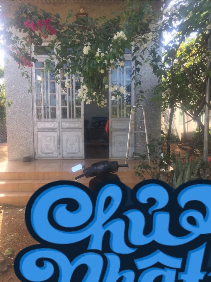 Nhà phố thôn 7 Ea Bar, Buôn Đôn 210m² giá chỉ 770 triệu - Cơ hội đầu tư tuyệt vời!