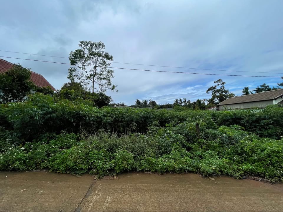 Đất thổ cư Hòa Thắng, Buôn Ma Thuột 468,7m² giá 3,75 tỷ - Đầu tư thông minh!