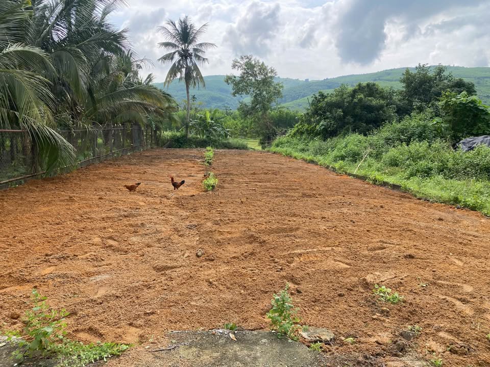 Đất nền Hòa Khương 230m² giá 870 triệu - Cơ hội đầu tư hấp dẫn!