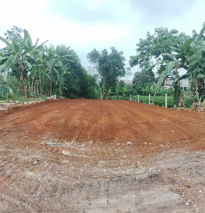 Đất thổ cư 60m² tại phường An Tường, Tuyên Quang giá chỉ 1 tỷ - Cơ hội đầu tư hấp dẫn!