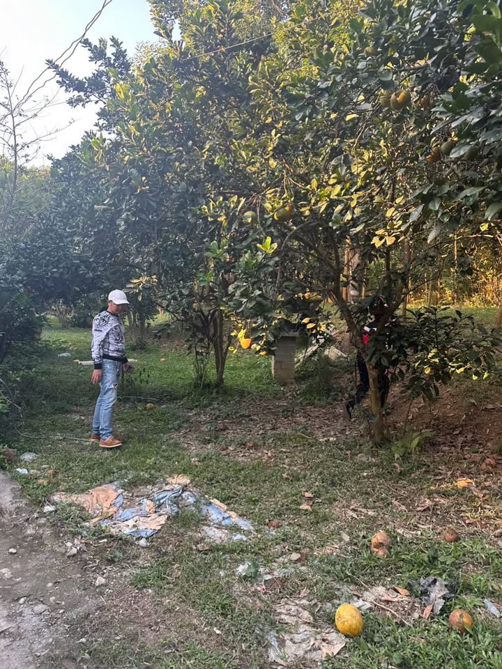 Đất Lô Góc Lương Sơn Phú Thọ 1.364m² giá chỉ 6.486 tỷ - Cơ hội đầu tư sinh lời!