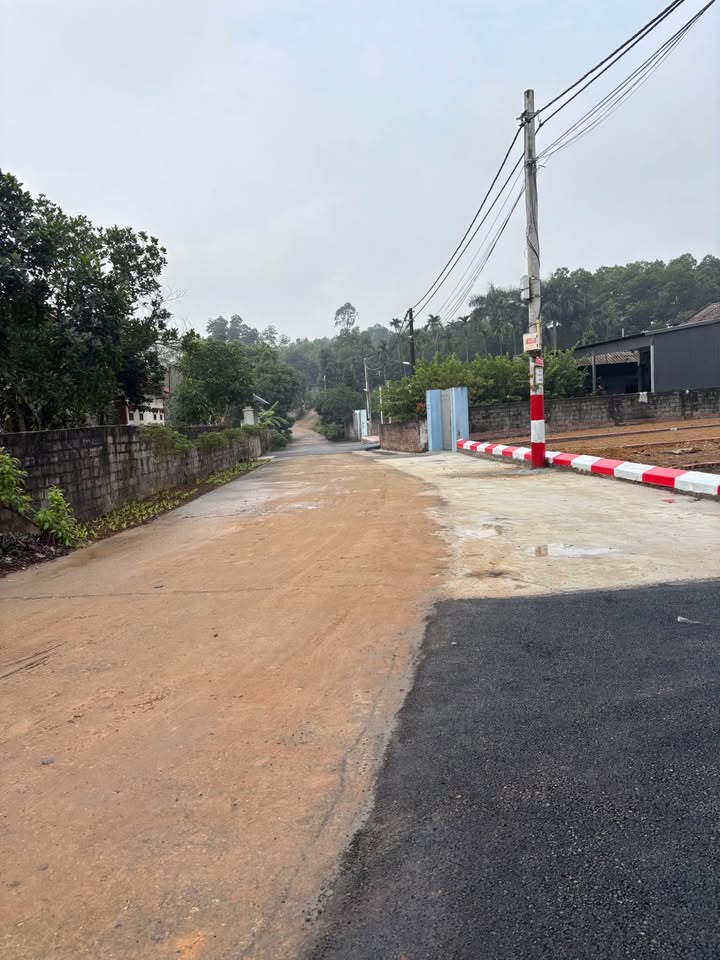 Đất thổ cư Cẩm An, Cẩm Lĩnh 100m² chỉ 700 triệu - Cơ hội đầu tư tuyệt vời!