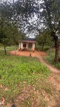 Nhà cấp 4 Tỉnh lộ 664, Ia Grai, Gia Lai 174m² giá 360 triệu - Chính chủ bán gấp!