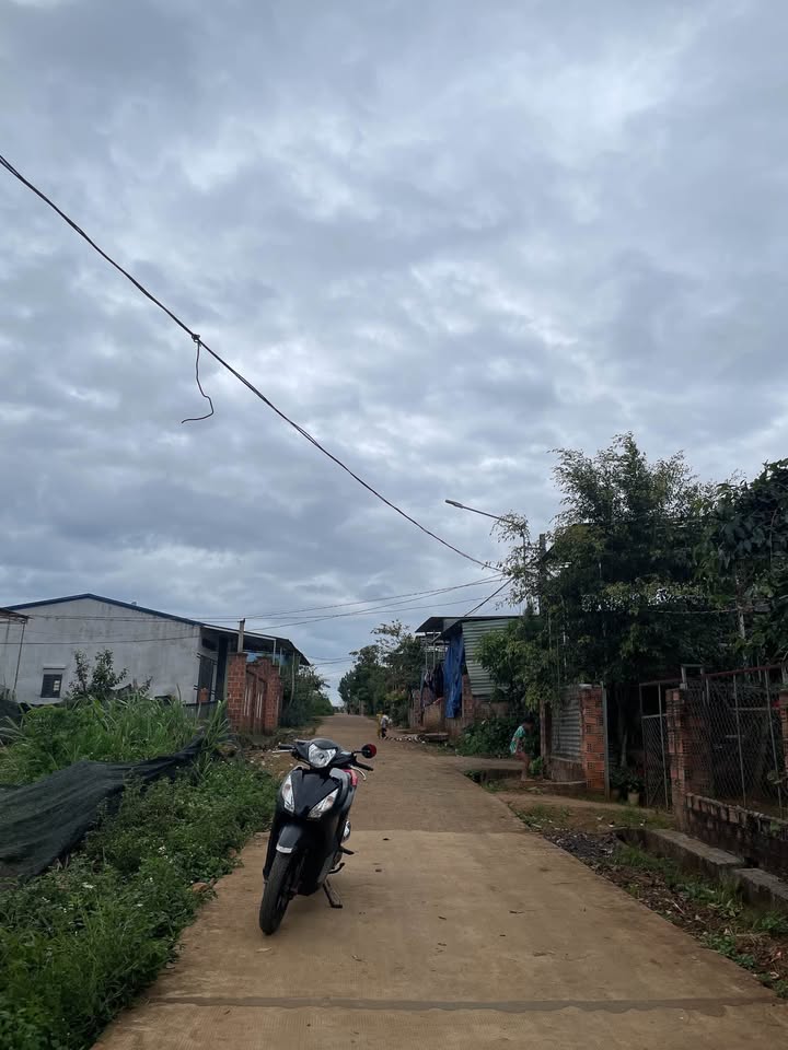 Đất liền kề Bùi Viện, An Phú, Pleiku - 195m² giá chỉ 400 triệu!