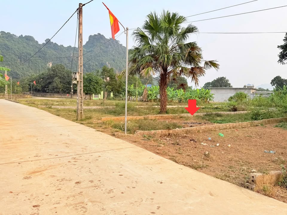 Đất thổ cư Lạc Thủy 111.3m² giá 650 triệu - Sổ đỏ chính chủ!