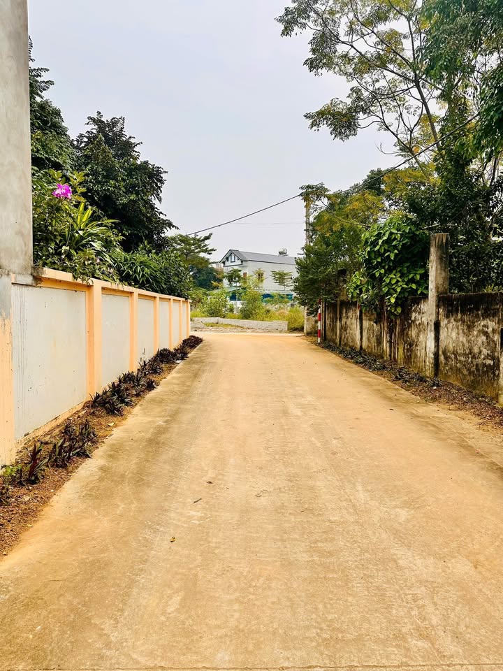 Đất nền thổ cư Hạ Bằng 219m² giá 5 tỷ - Đầu tư sinh lời hấp dẫn!