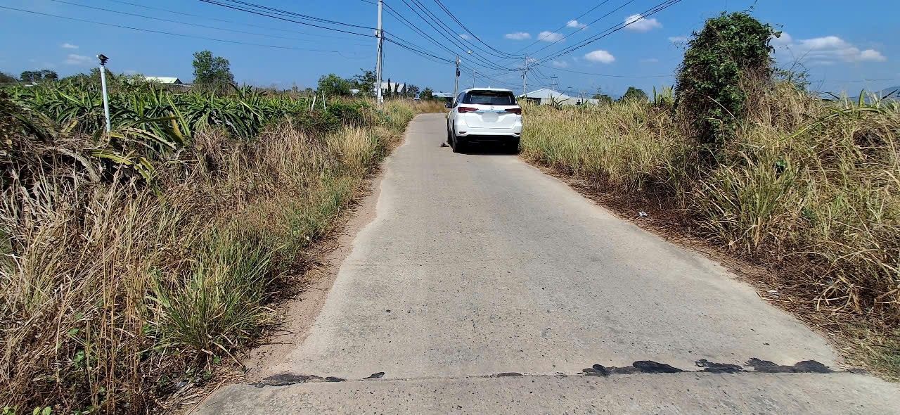 Đất nền 1ha tại Hàm Hiệp, Hàm Thuận Bắc - Giá đầu tư hấp dẫn!