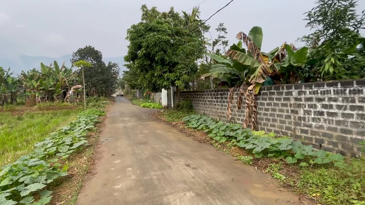 Đất nghỉ dưỡng Hưng Long 1150m² giá 1 tỷ - Tặng nhà siêu đẹp!