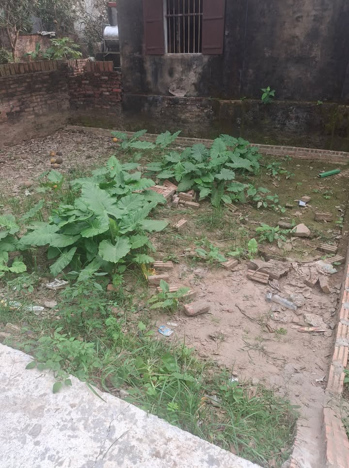 Đất Đặng Xá, Gia Lâm 41m² giá 3 tỷ - Cơ hội đầu tư hiếm có!