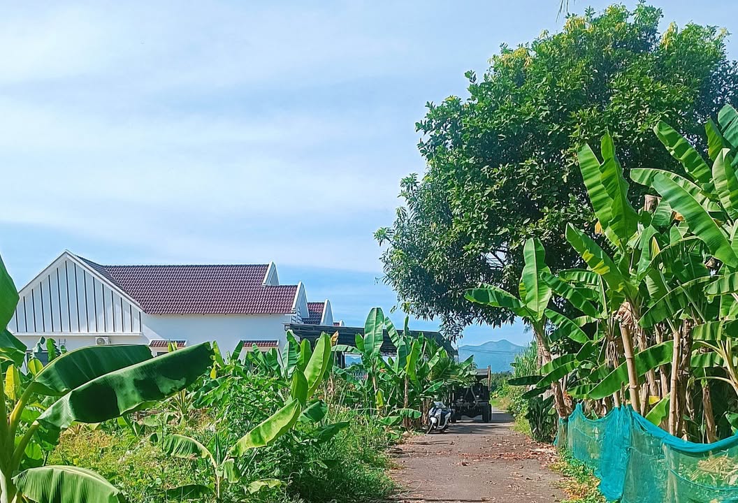 Đất thổ cư Suối Cát, Cam Lâm 818m² giá 4 triệu/m² - Cơ hội đầu tư tuyệt vời!