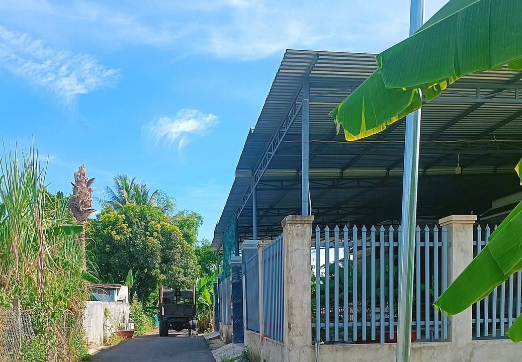 Đất thổ cư Suối Cát Cam Lâm 818m² giá 4.1 tỷ - Cơ hội đầu tư tuyệt vời!