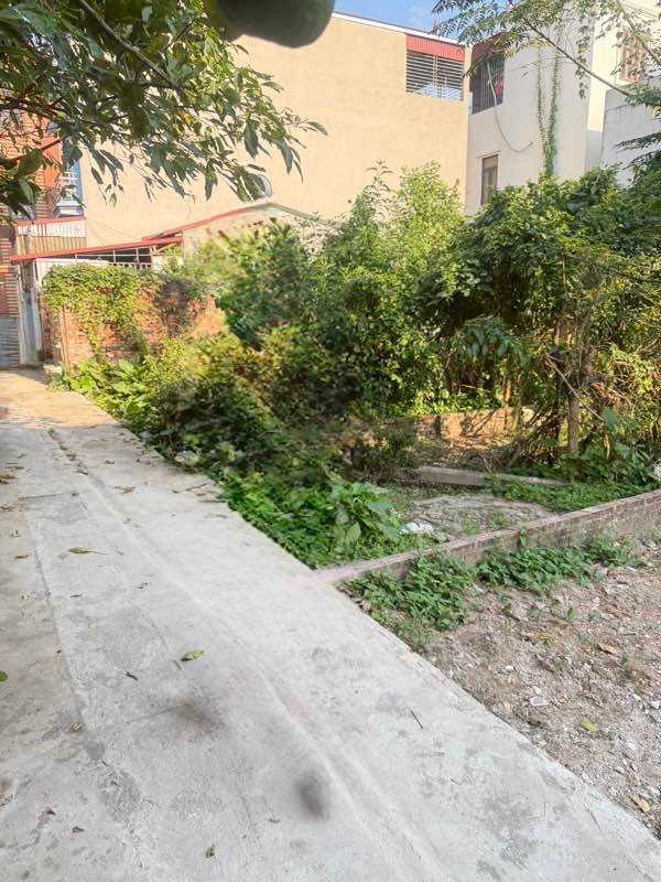 Đất nền Dương Xá 76m² giá 3.95 tỷ - Cơ hội vàng cho đầu tư!