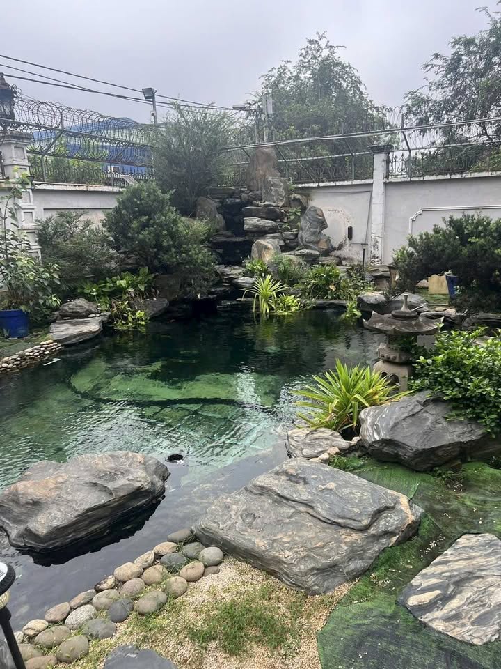 Biệt thự Củ Chi 1160m² giá 20 tỷ - Không thể bỏ lỡ!