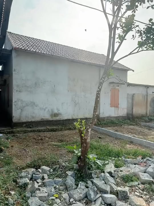 Lô đất Thịnh Đức Thái Nguyên 100m² giá chỉ 800 triệu - Sổ hồng chính chủ!