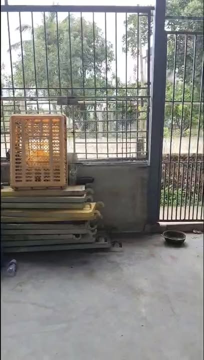 Nhà phố Tam Thăng, 160m² giá 1.5 tỷ - Lô góc 2 mặt tiền thông thoáng!