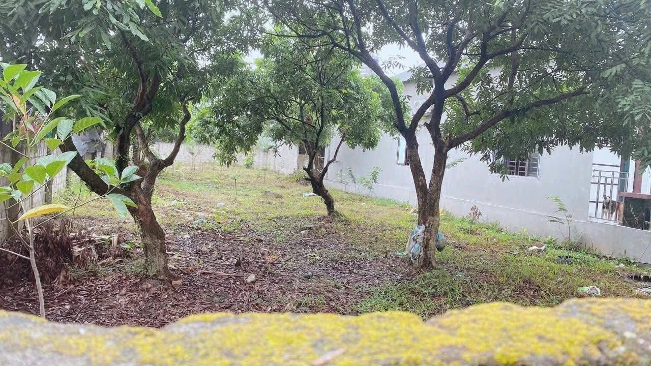 Đất nền An Khánh Đại Từ 350m² giá 900 triệu - Tặng ngay 450m² ruộng