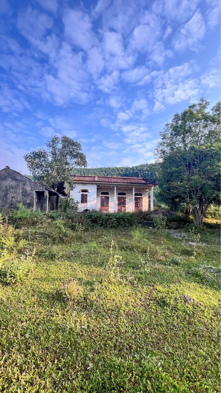 Đất Farm Hồ Ghềnh Chè - Sông Công 6000m² giá 4 tỷ - Cơ hội đầu tư nghỉ dưỡng tuyệt vời!