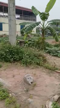 Đất nền đấu giá xã Minh Hoàng, Phù Cừ 75m² giá chỉ 2 tỷ - Cơ hội kinh doanh tuyệt vời!