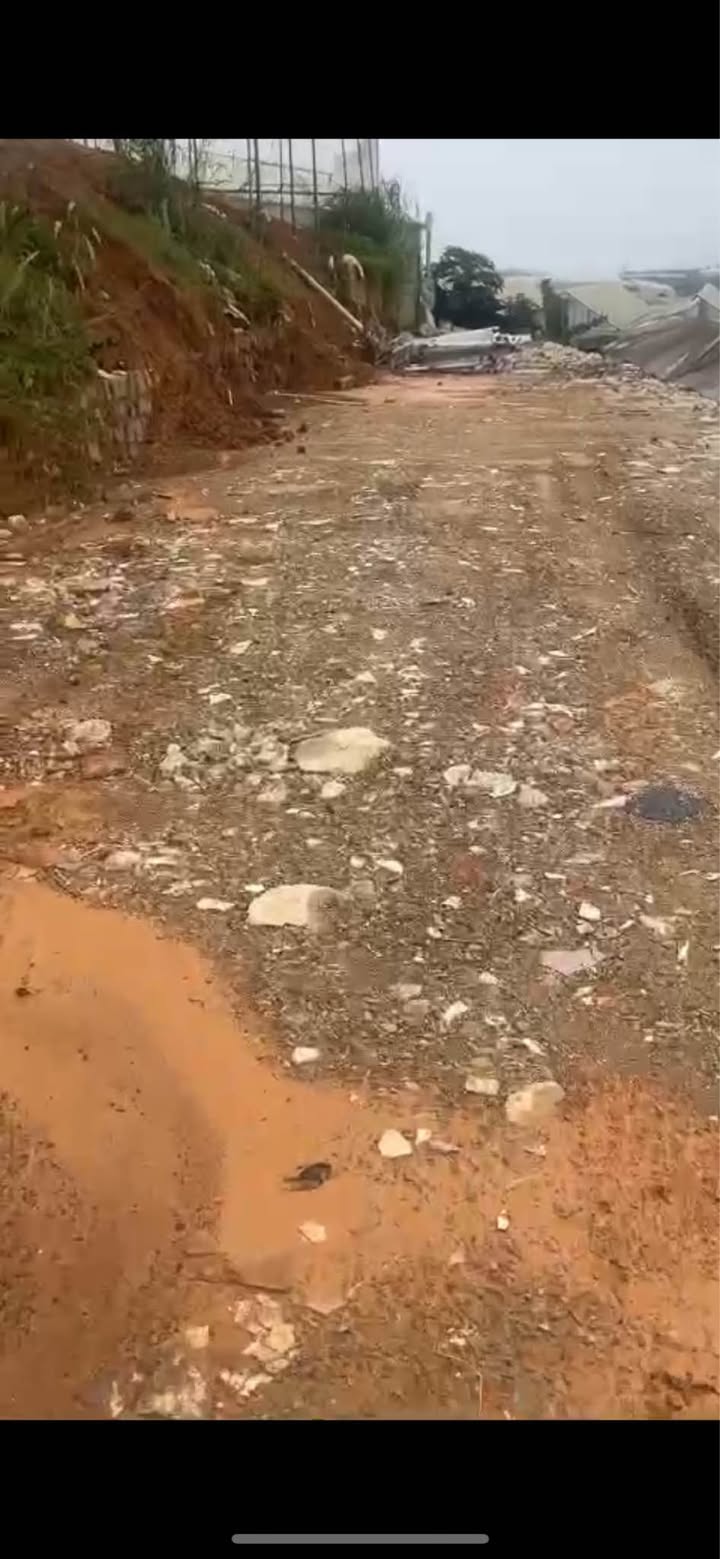 Đất nền Phước Thành, Lạc Dương 50m² giá 290 triệu - Đầu tư sinh lời ngay!