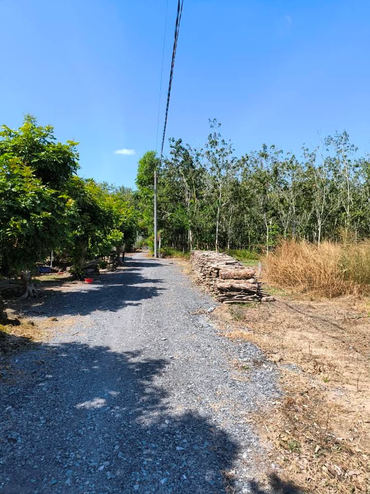 Đất nền Long Hoa, Tây Ninh 2000m² chỉ 480 triệu - Sổ đỏ chính chủ, pháp lý rõ ràng!