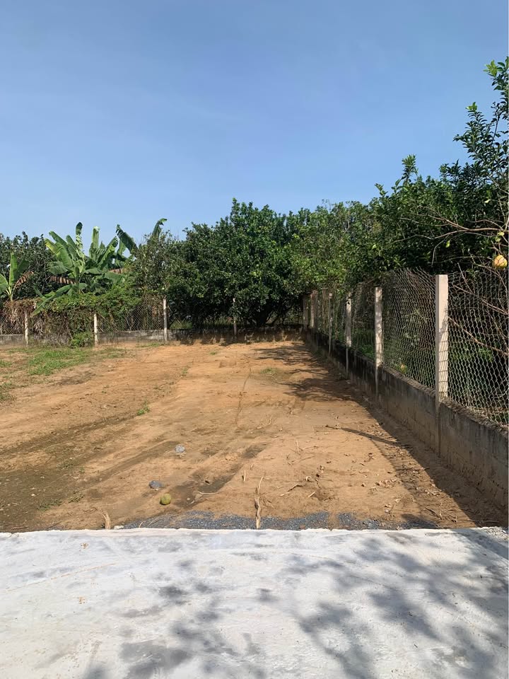 Nhà Bán Đường Bến Đôi, Bình Lợi 80m² giá 1.1 tỷ - Cơ hội vàng cho người thu nhập trung bình!