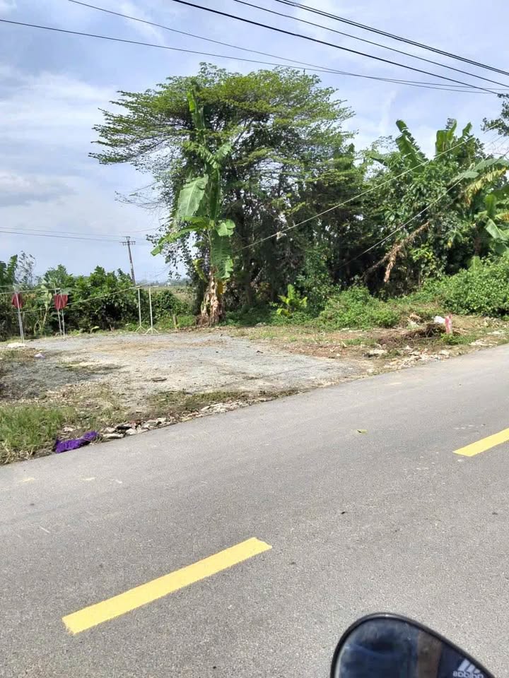 Đất mặt tiền đường Hòa Tiến 98m² giá 2 tỷ - Vị trí thuận lợi, không ngập lụt!