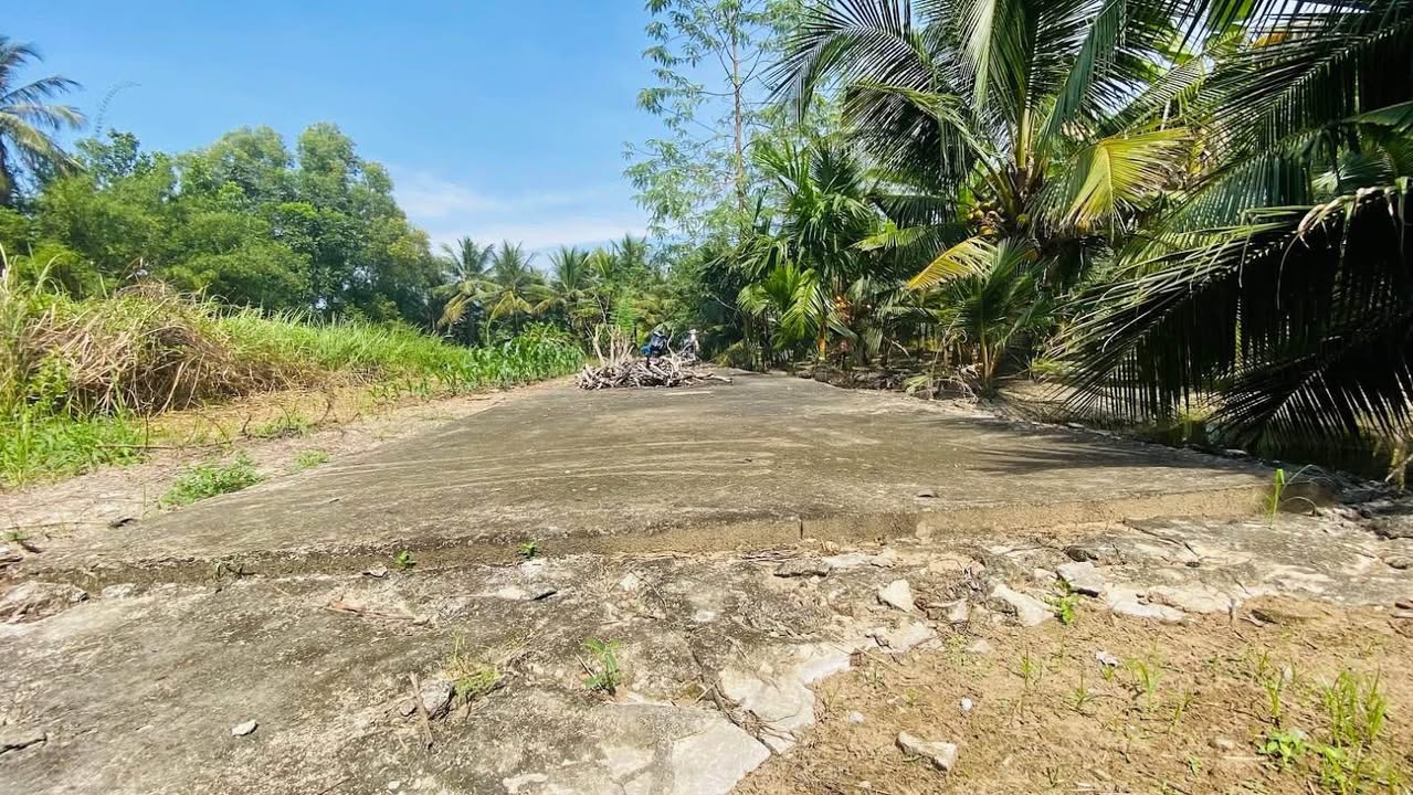 Đất vườn bưởi Hữu Định, Châu Thành, Bến Tre 2779m² - Không quy hoạch, giá tốt!