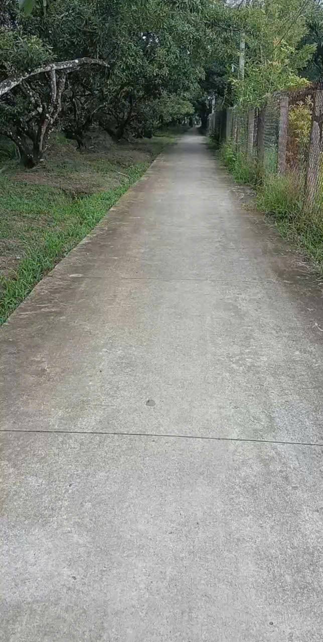 Đất nền Phú Phong, Châu Thành, Tiền Giang 138m² giá 420 triệu - Đầu tư sinh lời ngay!