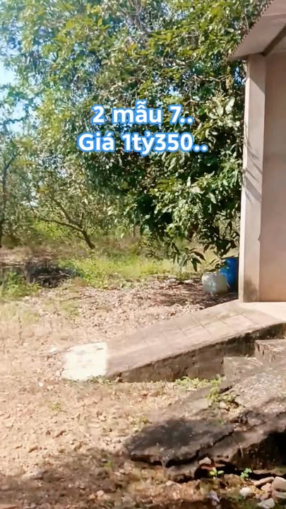 Đất Farm 27.000m² Ngọc Định, Định Quán chỉ 1.35 tỷ - Cơ hội đầu tư tuyệt vời!